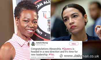 Republican who launched a campaign in AOC's district PRAISED the lawmaker for her win in 2018