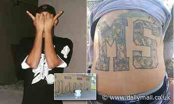 MS-13 members lured 'snitch' with fake Facebook then chopped up body