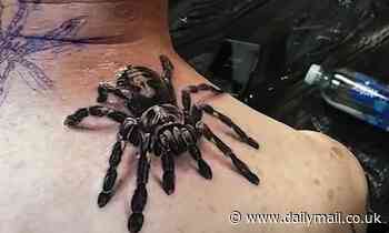 Tat's realistic! Incredible tarantula tattoo looks like a real spider