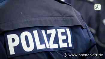 Krankheiten: Alles ruhig in Schleswig-Holstein: Polizei zufrieden