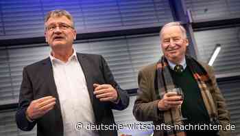 Meuthen und Gauland zerschlagen AfD-Flügel, wollen Höcke „eliminieren“