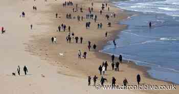 Beaches, parks and beauty spots packed as families ignore social distancing