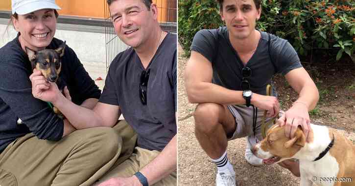 Antoni Porowski Fosters a Dog & Kyle Chandler Adopts from Same Shelter amid Coronavirus Outbreak