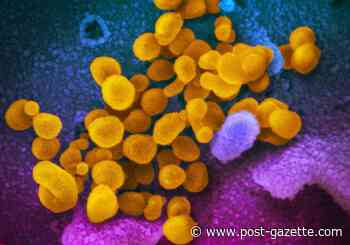 Allegheny County reports its 40th case of COVID-19; nearly 500 cases in Pa.