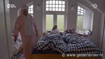 Koeienstaarten, Catannen en een konijnenpak, maar waar is de liefde?