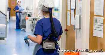 The latest coronavirus death toll for the UK