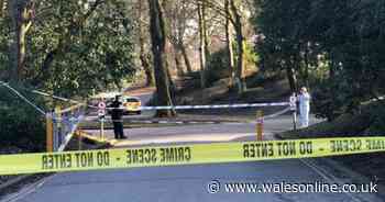 Seven-year-old girl dies after being stabbed in a 'random attack'