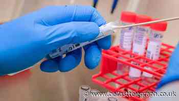 Woman held at immigration centre tests positive for coronavirus