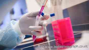 Researchers given £20m to ‘unlock the secrets’ of Covid-19