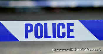 NATIONAL: Stranger stabs seven-year-old girl to death in Bolton park on Mother's Day - Wiltshire 999s