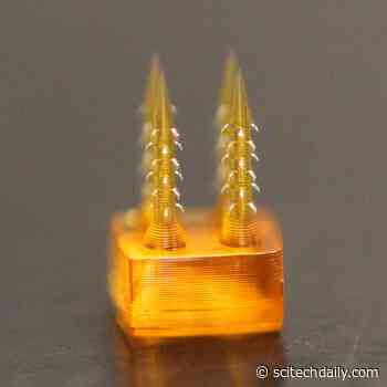 Tiny High-Tech Needles Inspired by Parasites May Help Eliminate Painful Shots