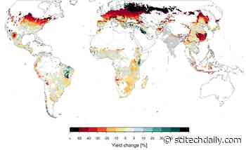 Global Famine Predicted in Even a Limited India-Pakistan Nuclear War Due to Soot and Firestorms