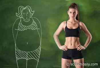 Removing Belly Fat Before It Sticks to You: University Researchers Produce Fat-Busting Proteins