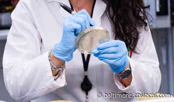 Mayor Jack Young Lays Out Baltimore Coronavirus Plan As More Marylanders Being Tested - CBS Baltimore