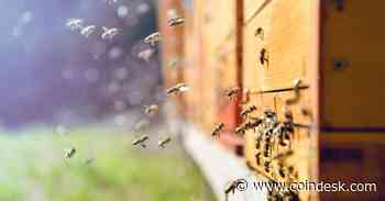 Steem Fork Faces Legal Threat From Mining Firm Over ‘Hive’ Name