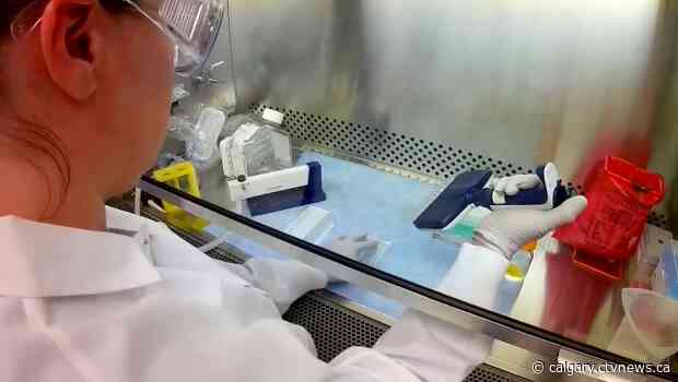 Payoff from physical distancing still weeks away: U of C expert