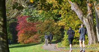 The parks, playgrounds, and other open spaces shutting across Wales