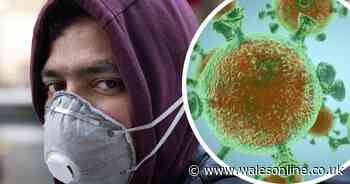 The questions about everyday life we’re just not sure about anymore