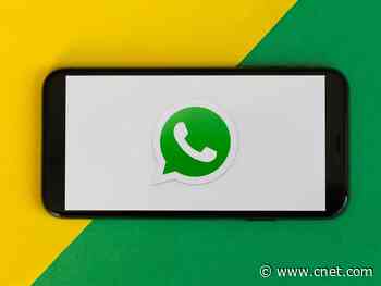 WhatsApp testing new fact-checking feature for messages, report says     - CNET