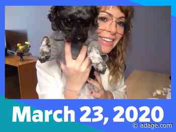 How Girlboss' Sophia Amoruso plans to pull off a large-scale virtual event: Ad Age Remotely