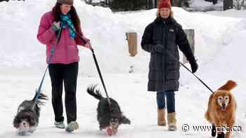 Walking dogs, riding bikes not allowed during COVID-19 self-isolation