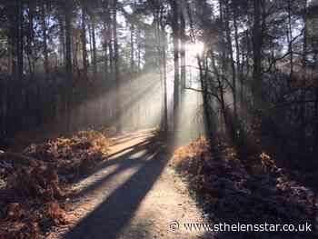 Delamere Forest closes to keep public safe - St Helens Star