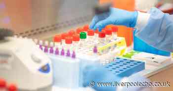 Coronavirus spreads to St Helens as first case takes current Merseyside total to 14 - Liverpool Echo