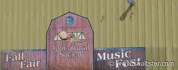 COVID 19 mothballs music festival