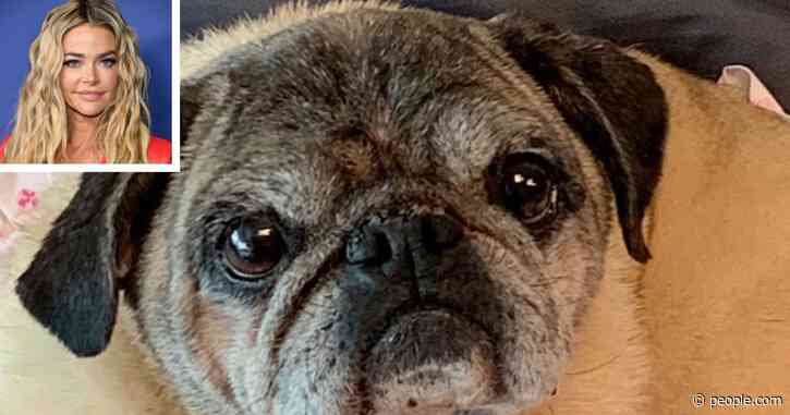Denise Richards Mourns Death of Beloved 15-Year-Old Dog Henry: ‘Home Will Never Be the Same’