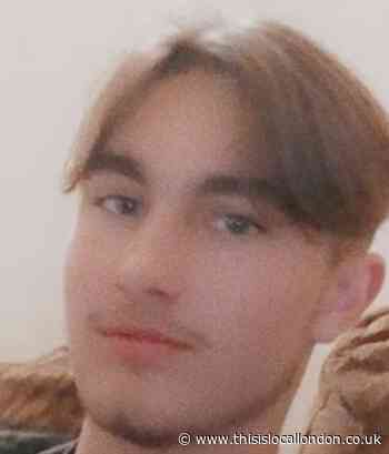 Appeal for 'vulnerable' teenager missing from Bromley