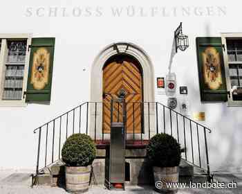 Stadt leistet erste Hilfe für die Wirtschaft - Der Landbote