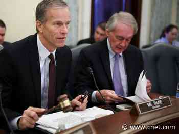 Sens. Markey and Thune want a crackdown on coronavirus robocall scams     - CNET