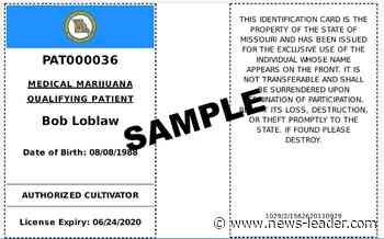 Amid pandemic, Missouri health authorities approve medical weed patients - News-Leader