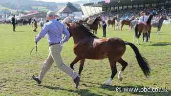 Canslo Sioe Frenhinol 2020 oherwydd coronafeirws