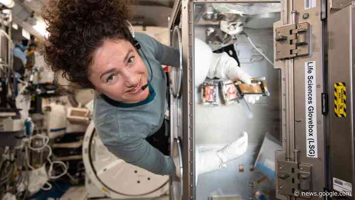 While we were stockpiling, here's what astronauts were up to in space last week - CNN