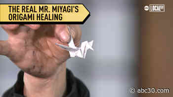 Sensei Folds 5,000 Origami Cranes to Symbolize Healing