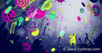 Welcome to the Virosphere