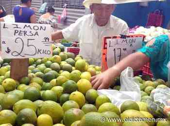 Se eleva el precio del limón en mercados de Veracruz - El Dictamen