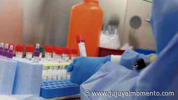 Confirmaron 41 nuevos casos de coronavirus en la Argentina - Jujuy al Momento