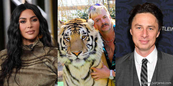 Netflix's 'Tiger King' Already Has So Many Celeb Fans - Read Tweets!