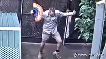 Zookeeper's dance routine delights online viewers
