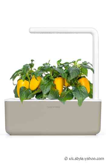 21 Cool Gadgets and Tools That'll Take Your Kitchen to the Next Level - Yahoo Style
