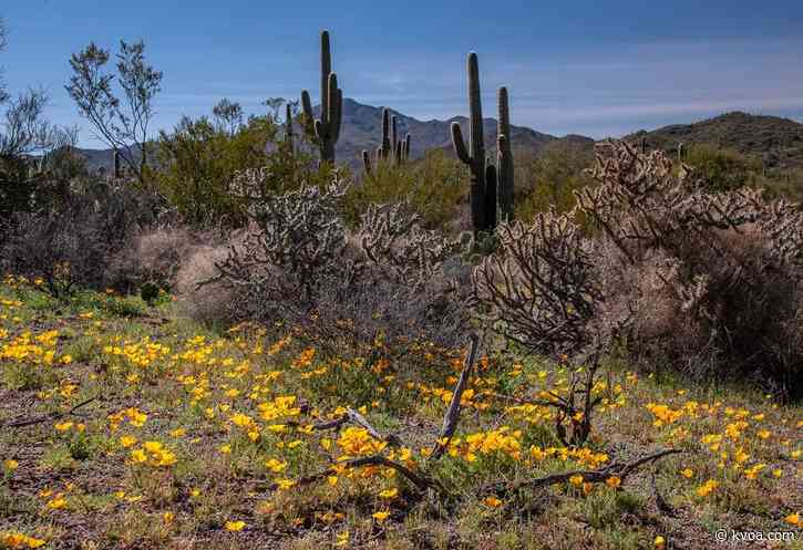 Saguaro National Park closes restrooms, comfort stations