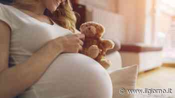 Erba, corso preparto via Skype: "Non lasciamo sole le donne in questo momento" - Il Giorno