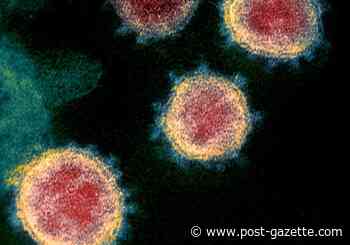 Allegheny County's second COVID-19 death a surprise