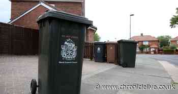 What coronavirus lockdown means for bin collections as EVERY tip closes