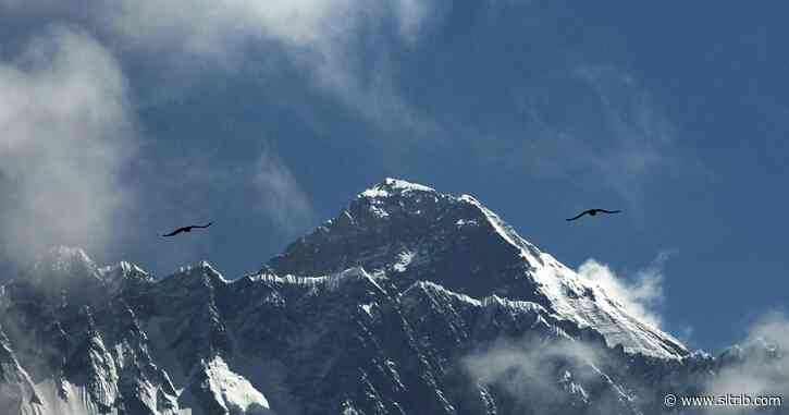 From top to bottom line: Mount Everest closing means financial hit