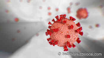Coronavirus Latest: Fourth COVID-19 Death Reported In Maryland