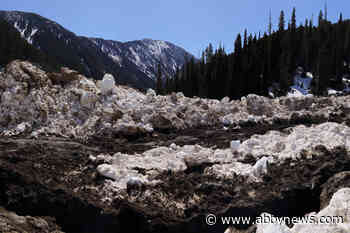 Avalanche Canada to stop avalanche forecasting early