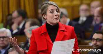 Economic development minister says parliamentary process too slow for coronavirus response